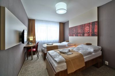 Hotel Alexander dvojlôžková izba