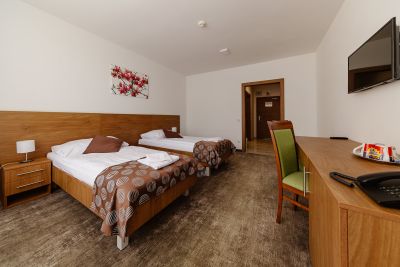 Hotel Ozón bezbariérová izba superior***+