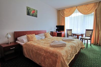 Hotel Ozón izba štandard*** s manželskou posteľou