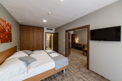 Hotel Ozón apartmán superior***+